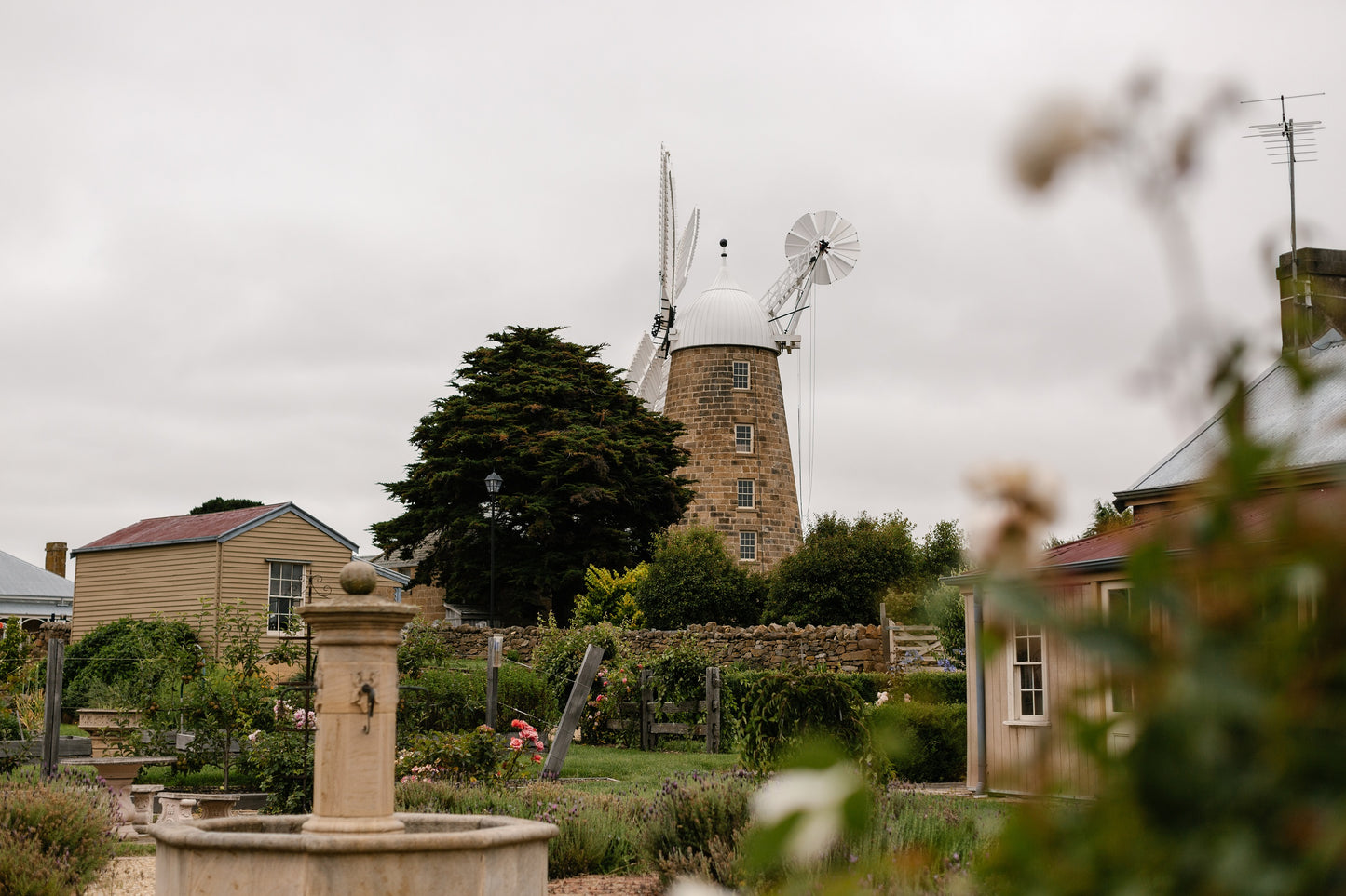 range Tasmania greeting card image of Oatlands historic callington mill in landscape