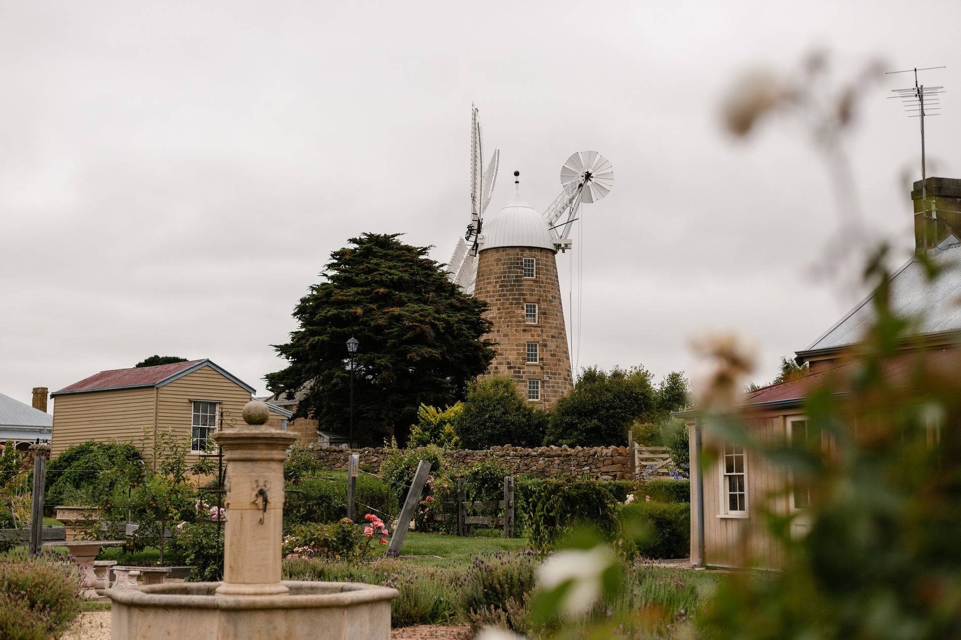 range Tasmania greeting card image of Oatlands historic callington mill in landscape