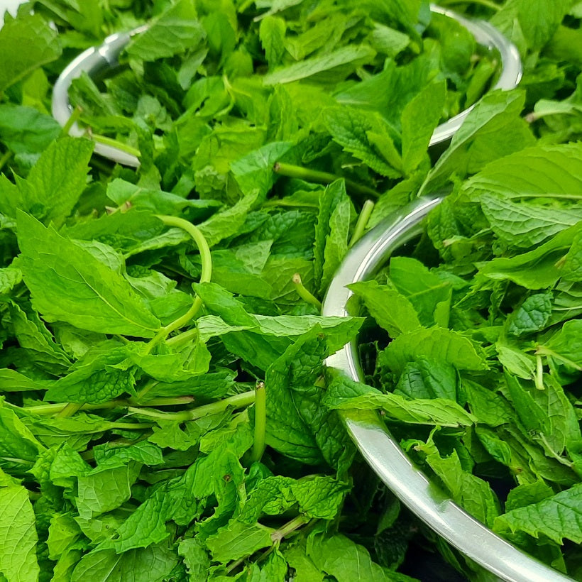 picked fresh Tasmanian mint ready for making range Tasmania mint jelly