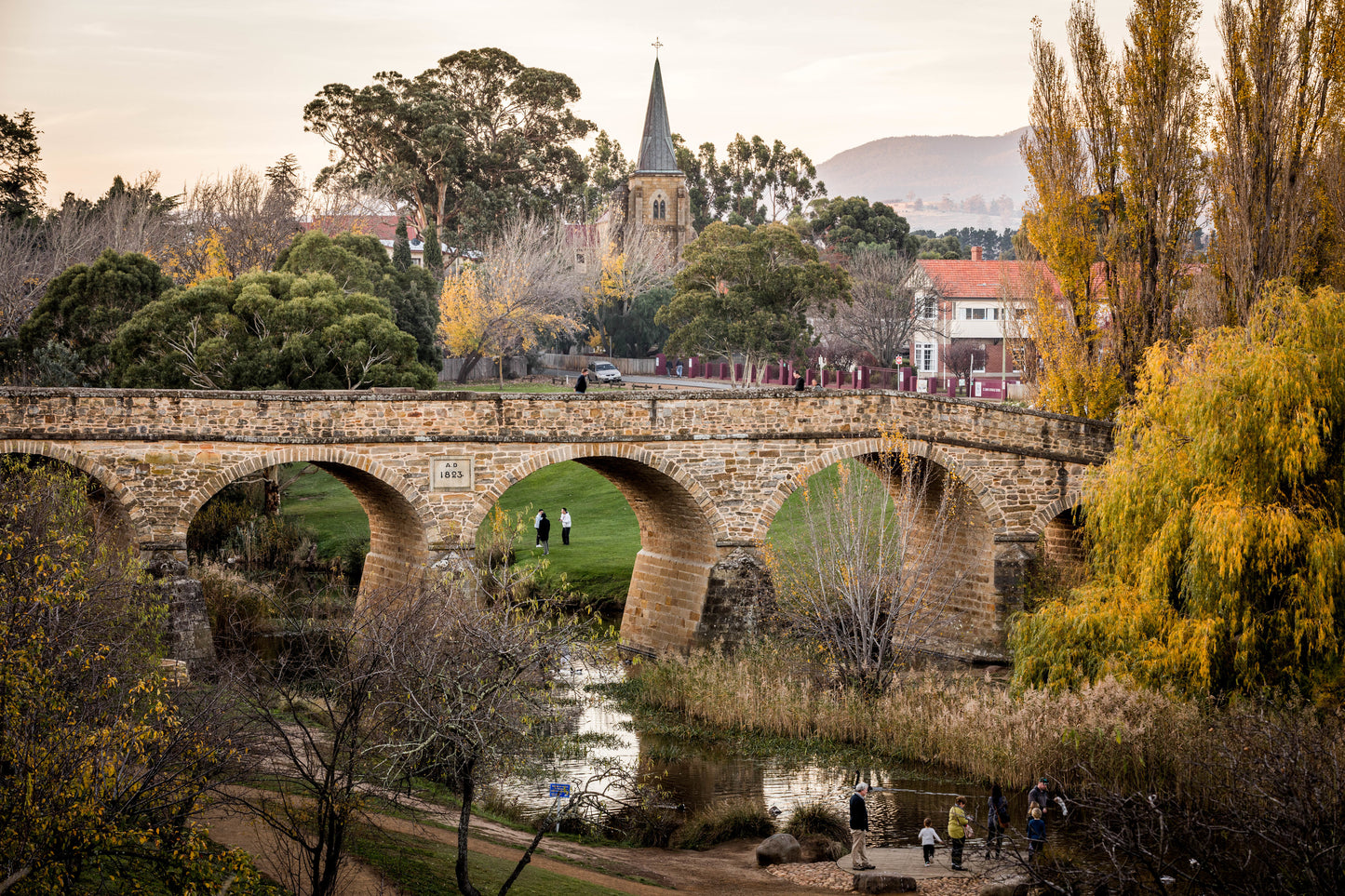 Free Tasmanian Greeting Card