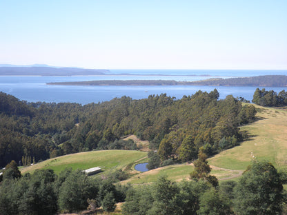 Free Tasmanian Greeting Card